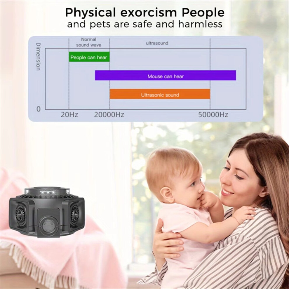 6 ASTUCES Contre Les MOUCHERONS De Terreau ~ SOS PLANTES ? 🪴🪰 - YouTube