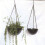 Hanging Baskets Garden Flower Containers Pots Large-large 7