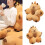 Soft Capybara Back Pillow, Ergonomic Lumbar-round eyes L 4