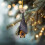 Bat Christmas Ornament, Hanging Bat Ornament for Tree,-1 4