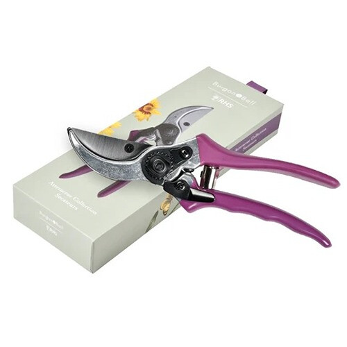 Burgon & Ball Asteraceae Secateurs