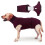 Comfortable Pet Dog Post Surgeries Jumpsuit-Hemp grey L 6