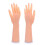 Realistic Medicals Teaching Hand Model Silicone-a pair 1