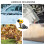 Professional Cordless Leaf Blower Kit 40000RPM Motor 2-Red 3