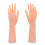 Realistic Medicals Teaching Hand Model Silicone-a pair 2