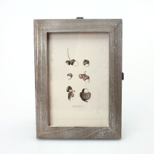 Décoration de style vintage, couvercle en verre transparent, cadre en bois massif de qualité supérieure, 21,5 x 19,5 cm, idéal pour une
