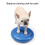 Pet Training Tool Spiked Cushion Balancing Pad for Better Leg 2