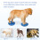 Pet Training Tool Spiked Cushion Balancing Pad for Better Leg 7