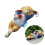 Sleep Rabbit Statue Cute Miniature Bunnies Holding Rose Figurine 2