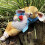 Sleep Rabbit Statue Cute Miniature Bunnies Holding Rose Figurine 5