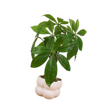 Realistic Money Tree Plant Decoration Artificial Money-Type A