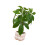 Realistic Money Tree Plant Decoration Artificial Money-Type A 1