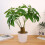 Realistic Money Tree Plant Decoration Artificial Money-Type A 7