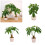 Realistic Money Tree Plant Decoration Artificial Money-Type A 3