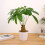 Realistic Money Tree Plant Decoration Artificial Money-Type A 6