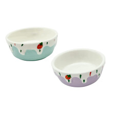 Ceramic Pet Food Bowls 2Pack Smooth Surface SpaceSaving Design For Hamster Guinea Pig Rabbit Purple And Blue
