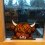 Funny Peeping Highlands Cow Window Decorations,Christmas-A 5