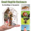 Low Maintenance Acrylic Pet Enclosure Good Ventilation for 6