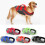 Dogs Pool Vests Swimsuit Save Handle for Small Large-Red XL 3