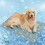 Ice Silk Pet Cooling Pad Helps Prevent-Dog Park Grey A 6