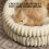 Multiuse Cats Bed Detachable Cushion Soft Resting Bed-coffee 7