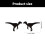 Ear Accessory Animal Ear Studs Suitable for Teens-Steel Color 4
