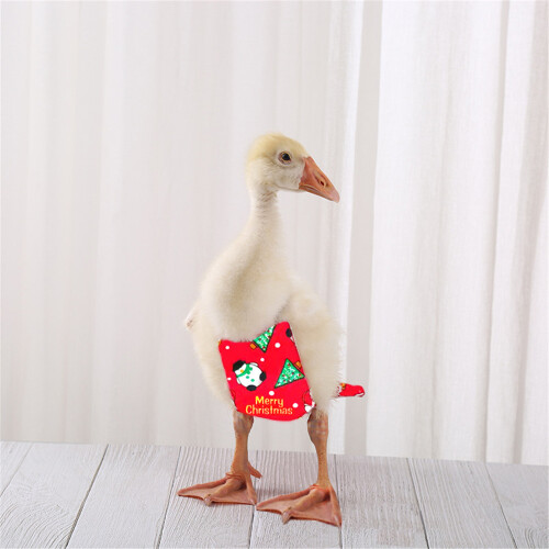 Geflügelkleidung, wiederverwendbare-Grüne Weihnachten M 1
