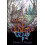 Finding The Witchs Way by Doris C. Rusch Paperback Book 1