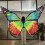 Dance Costume Accessory Illuminated LED Butterfly Wing for Belly 3