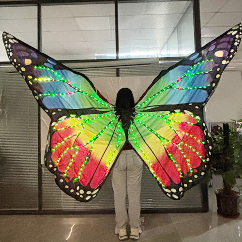 Dance Costume Accessory Illuminated LED Butterfly Wing for Belly 2