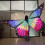 Dance Costume Accessory Illuminated LED Butterfly Wing for Belly 6
