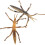 2Stk Simulation Stabheuschrecken Modell Pädagogische Insekten Statue 1