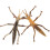 2Stk Simulation Stabheuschrecken Modell Pädagogische Insekten Statue 8