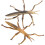 2Stk Simulation Stabheuschrecken Modell Pädagogische Insekten Statue 10