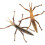 2Stk Simulation Stabheuschrecken Modell Pädagogische Insekten Statue 11