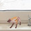 Plastik Hyäne Statue Simulation Modell Lernspielzeug Für Kinder 3