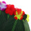 Hawaii Leaf Skirt Hula Rock, Bunt, Elastischer Bund, Tropisch 10