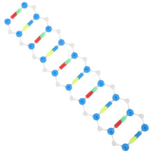 Double Helix Dna-Model Voor Studenten Educatief Lesmateriaal