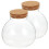 2St Terrarium Kugelförmige Mikrolandschaft Flasche 1
