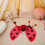 Set Ladybug Vleugels Met Fee Staf En Vleugels 7