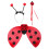 Set Ladybug Vleugels Met Fee Staf En Vleugels 9