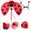 Set Ladybug Vleugels Met Fee Staf En Vleugels 10