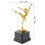Dance Exquise Voor Ballet Studenten Competitie 3