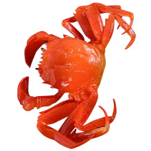 Plastic Krabbenmodel Simulatie Marien Dier Realistische Decoratie