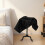 Set Zwevende Prop Voor En Toneel 3