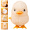 Juguete De De Con Mecanismo De Cuerda Para 4