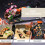 1St Sushi Teller Künstliche Für Restaurant Simulation 7