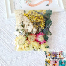 DIY inspirowane naturą, prawdziwe suszone kwiaty do rękodzieła, artystyczne i kreatywne akcesoria, ochrona opakowania próżniowego dla