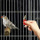 Silbato Para Niños Hand-Twisted De Simulación De Canto De 6