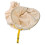 Canvas Bee Net Bee Catching Tool Swarm Catcher Collector 10